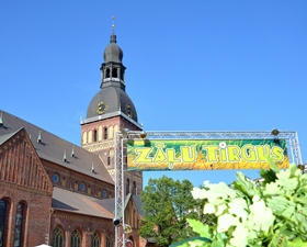 Herbs and flowers market