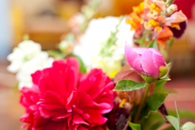 FLOWERS IN RIGA ART NOUVEAU MUSEUM