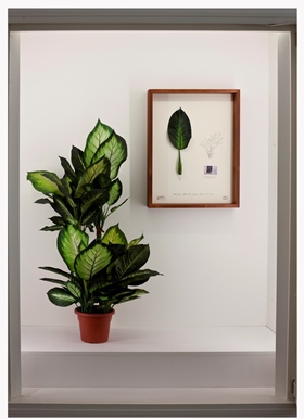 The contemporary art exhibition “Lost in the Archive” opens in February at the exhibition hall “Riga Art Space”