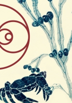 The travelling international exhibition THE NATURE OF ART NOUVEAU