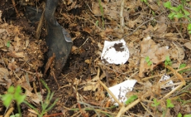 Ekoloģiski akcenti, Muzikālā koka stāsti un Porcelāns mežā MUZEJU NAKTĪ 18.maijā