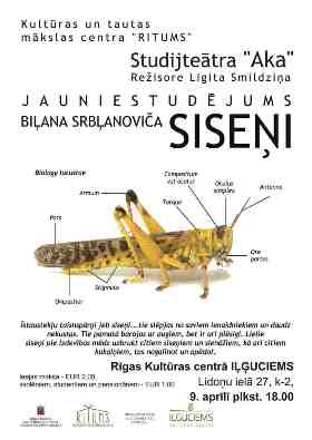 Jauniestudējums – serbu dramaturģes Biļanas Srbļanovičas drāma „Siseņi” Rīgas Kultūras centrā “Iļģuciems”