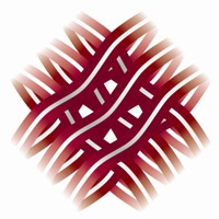 Koncertuzvedums DZIESMA LATVIJAI