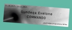 Выставка Гундеги Эвелоне «Commando» с 21 октября до 12 ноября в выставочном зале «Rīgas mākslas telpa»