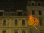 Fotomākslinieces Gunas Oškalnas–Vējiņas izstāde “Čaka noskaņās”