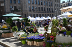 HERB MARKET on Doma Square