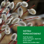 Pūpolsvētdienā