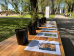 Latvijas Republikas Neatkarības atjaunošanas dienas pasākums “Radi zaļu Latviju!”